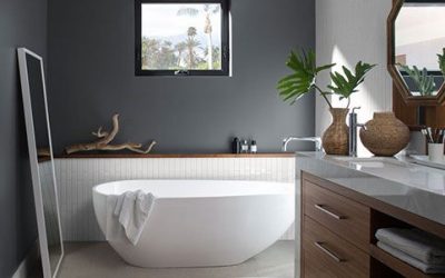 Best Paints for Bathroom Walls